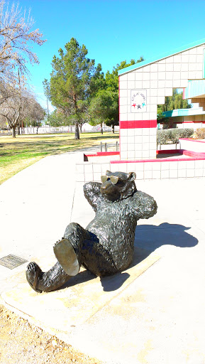 Cool Bear - Glendale, AZ.jpg