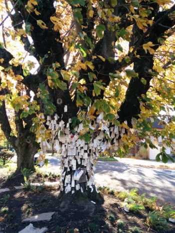 The Wishing Tree - Portland, OR.jpg