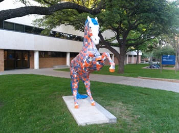 UTA Mascot Statue - Arlington, TX.jpg