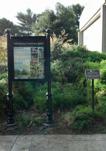 Bette Boatmun Conservation Garden - Concord, CA.jpg