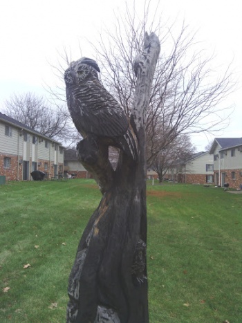 Owl Carving - Peoria Heights, IL.jpg