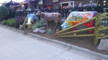 Bovine Beauties - Charlotte, NC.jpg