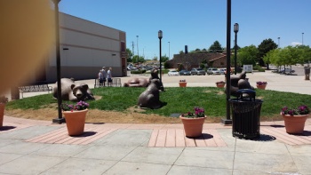 Life Size Bears - Greeley, CO.jpg