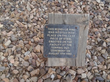 Mondale Pine Memorial - Mesa, AZ.jpg