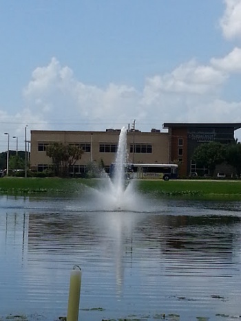 Tea's Memorial Fountain - Tampa, FL.jpg