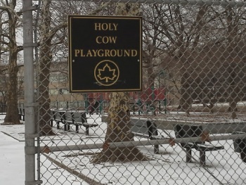 Holy Cow Playground - Queens, NY.jpg