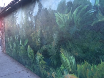 Plant mural - Vista, CA.jpg