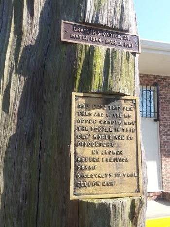 Grayson's Tree of Knowledge - Charleston, SC.jpg