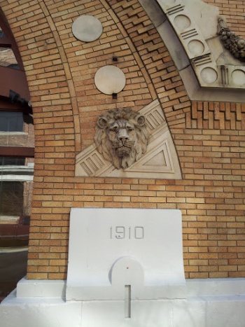 Heystek Lion - Grand Rapids, MI.jpg
