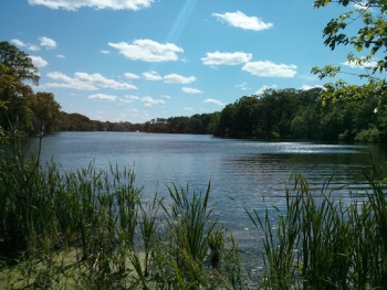 Weequahic Park - Newark, NJ.jpg
