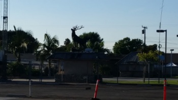 Elk Statue - Garden Grove, CA.jpg