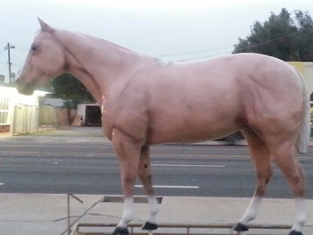 Giant Barbie Horse Statue - Riverside, CA.jpg