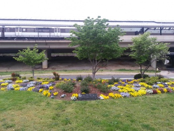 James W Carroll Memorial - Alexandria, VA.jpg