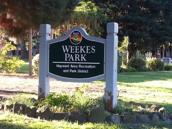 Weekes Park - Hayward, CA.jpg
