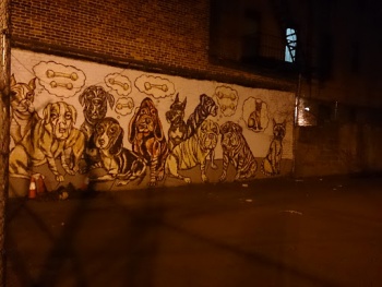 Poochie Passions Mural - Jersey City, NJ.jpg
