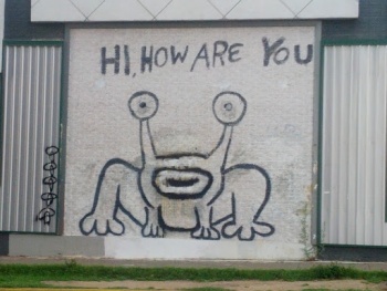 The How Are You Frog - Austin, TX.jpg