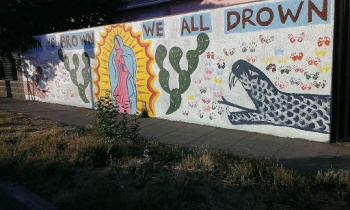 Brown Vs Brown We All Drown - San Jose, CA.jpg