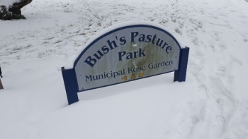 Bush Pasture Park - Salem, OR.jpg