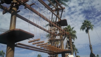 The Planks to Heaven - Phoenix, AZ.jpg