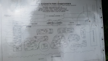 Elizabeth Park Shade Garden - West Hartford, CT.jpg