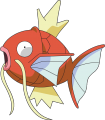 Magikarp image.png