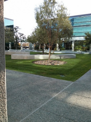 University of Phoenix San Diego - San Diego, CA.jpg