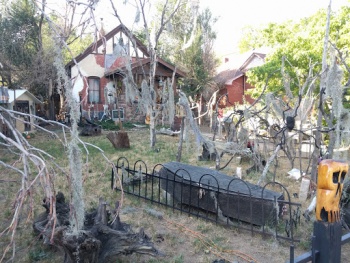 Pearl Street Haunt - Boulder, CO.jpg