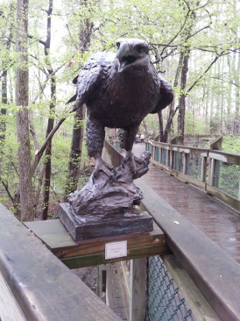Eagle Statue - Newport News, VA.jpg