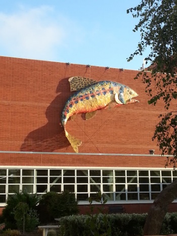 Guillermo -The Golden Trout Sculpture - Richmond, CA.jpg
