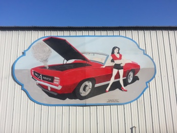 Radiator Rosy Mural - Fresno, CA.jpg