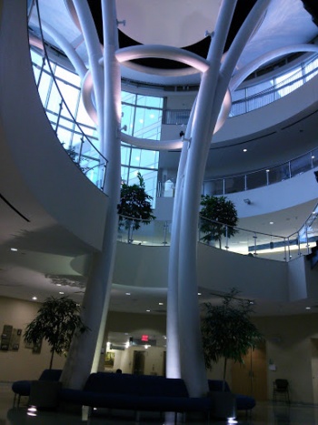 Sherman Hospital Tree of Life - Elgin, IL.jpg