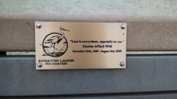 Heather Affleck Wild Memorial Bench - Encinitas, CA.jpg