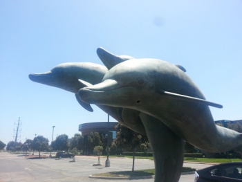 Pod of Dolphins - Fremont, CA.jpg