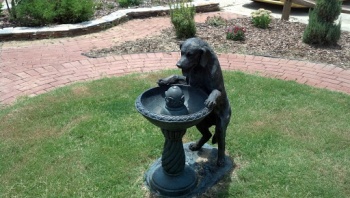 Lapping Dog Fountain - Greensboro, NC.jpg