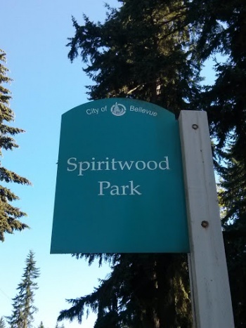 Spiritwood Park - Bellevue, WA.jpg