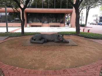 The Sleeping Panther - Fort Worth, TX.jpg