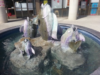 Fish Fountain - San Diego, CA.jpg