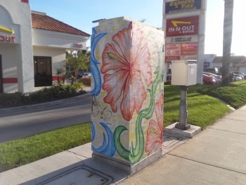 Utility Box Mural - Vista, CA.jpg