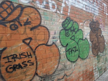 Irish Grass - Madrid, Comunidad de Madrid.jpg