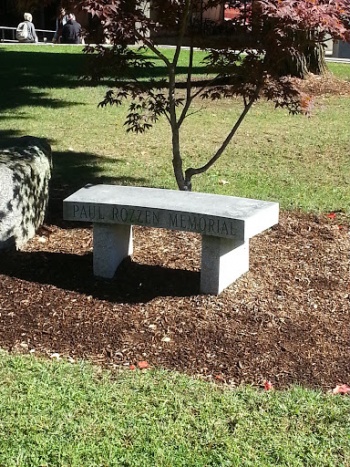 Paul Rozzen Memorial Bench - Lowell, MA.jpg