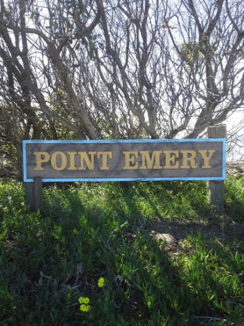 Point Emery - Berkeley, CA.jpg