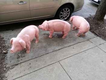 Three Little Pigs - Cincinnati, OH.jpg