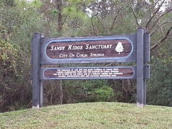 Sandy Ridge Park - Coral Springs, FL.jpg