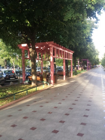 Pergola Roz - București, Municipiul București.jpg
