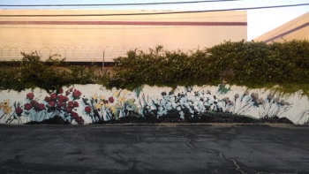 Wall Flowers - Lancaster, CA.jpg