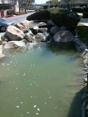 Rancho Temecula Waterfall - Temecula, CA.jpg