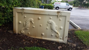 Seahorse Box - Coral Springs, FL.jpg