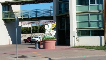 Farmers' Market Pegasus - Dallas, TX.jpg