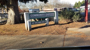 Community Garden - Renton, WA.jpg