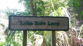 Lakeside Loop Bridge - Saint Petersburg, FL.jpg